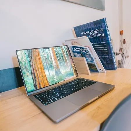 Magnifique T4- Toit Terrasse-cosy-centre Ville-aa