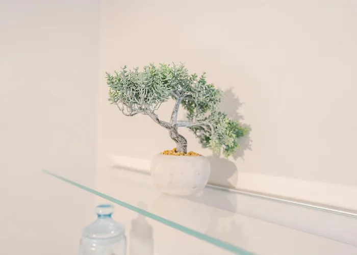 Magnifique T4- Toit Terrasse-cosy-centre Ville-aa